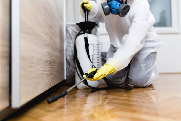 Best Affordable Pest Control Services  in Chapel Hill, NC