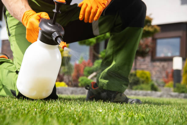 Best Rodent Control Near Me  in Chapel Hill, NC