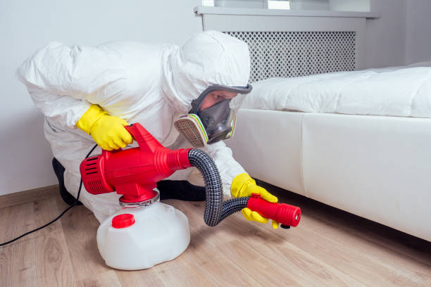 Reliable Chapel Hill, NC Pest Control Solutions