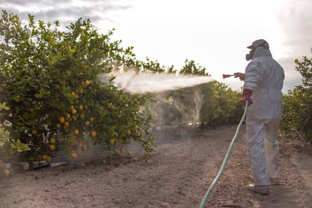 Best Pest Control Near Me  in Chapel Hill, NC