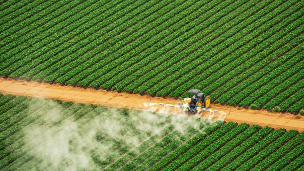 Best Pest Removal Services  in Chapel Hill, NC