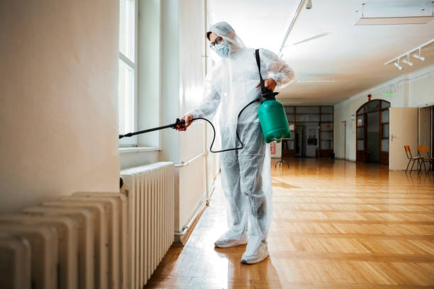 Best Termite Control Services  in Chapel Hill, NC