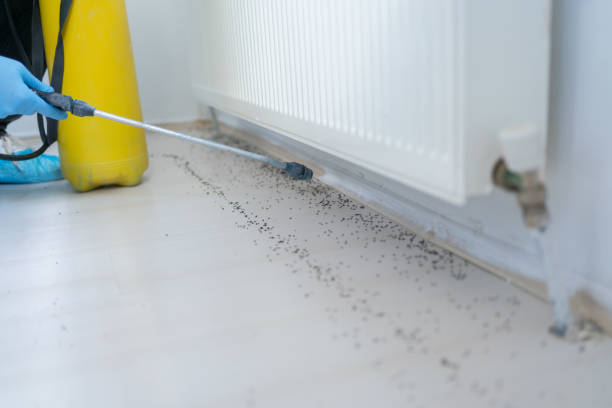 Best Wildlife Control Services  in Chapel Hill, NC