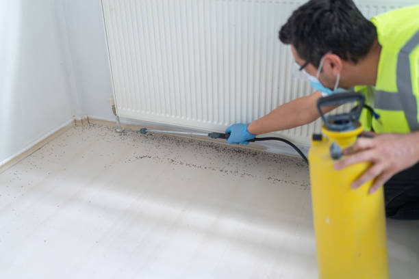 Best Wasp Removal Services  in Chapel Hill, NC